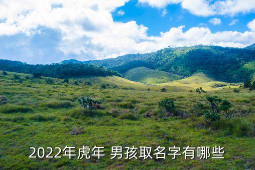 2022年男孩起名大全,張姓男孩起名大全2022最新版