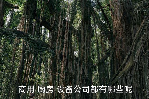  商用 廚房 設(shè)備公司都有哪些呢