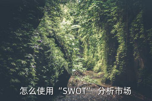 怎么使用“SWOT” 分析市場