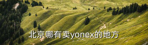 北京哪有賣yonex的地方