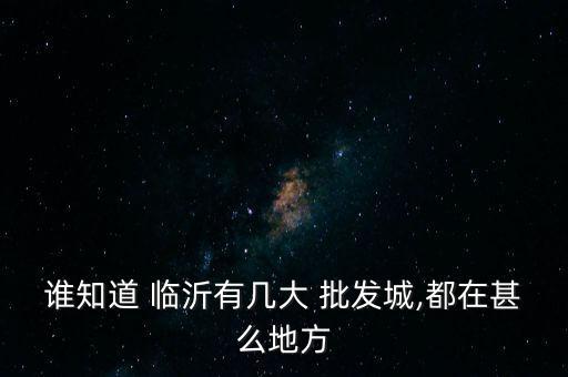 誰知道 臨沂有幾大 批發(fā)城,都在甚么地方