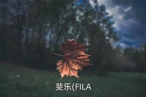 斐樂(lè)加盟條件,斐樂(lè)怎么加盟或者代理