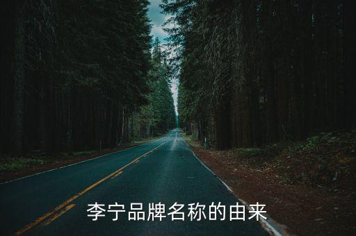 李寧品牌名稱的由來