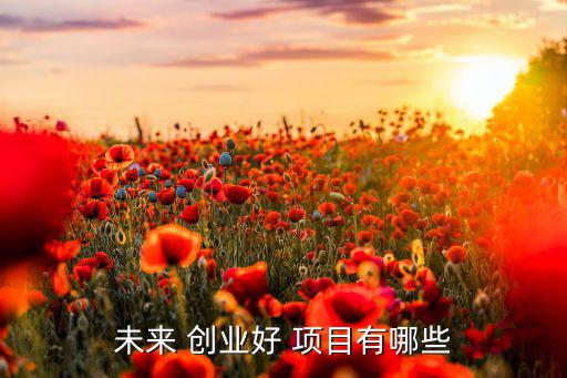 未來 創(chuàng)業(yè)好 項(xiàng)目有哪些