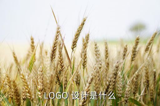 LOGO 設(shè)計是什么