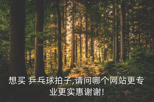 想買 乒乓球拍子,請問哪個網(wǎng)站更專業(yè)更實惠謝謝!