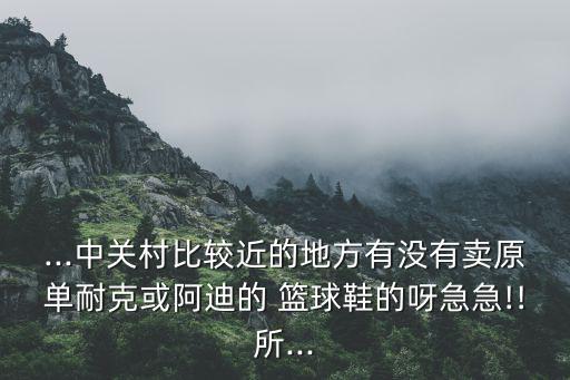 ...中關村比較近的地方有沒有賣原單耐克或阿迪的 籃球鞋的呀急急!!所...