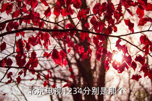  北京電視1234分別是那個