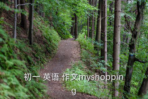 初一 英語 作文myshopping