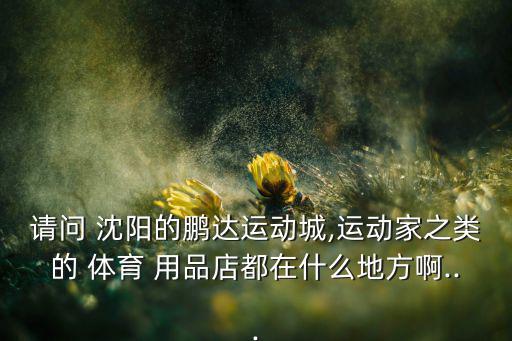 請(qǐng)問 沈陽的鵬達(dá)運(yùn)動(dòng)城,運(yùn)動(dòng)家之類的 體育 用品店都在什么地方啊...