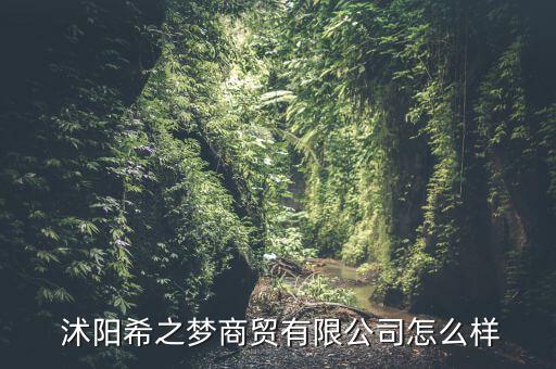  沭陽希之夢商貿(mào)有限公司怎么樣