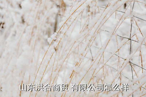  山東洪合商貿(mào) 有限公司怎么樣