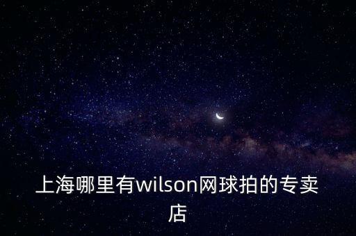 上海哪里有wilson網(wǎng)球拍的專(zhuān)賣(mài)店