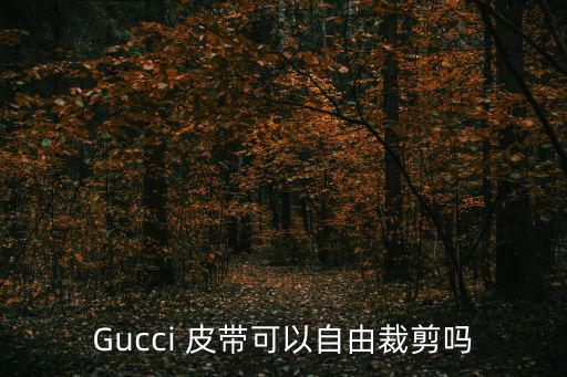 古馳gucci皮帶官網(wǎng)旗艦店