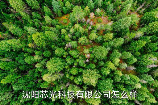  沈陽(yáng)芯光科技有限公司怎么樣