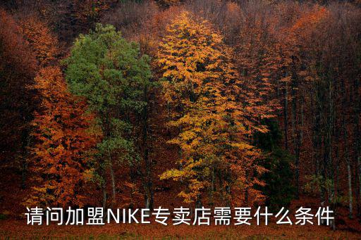 請(qǐng)問(wèn)加盟NIKE專賣店需要什么條件