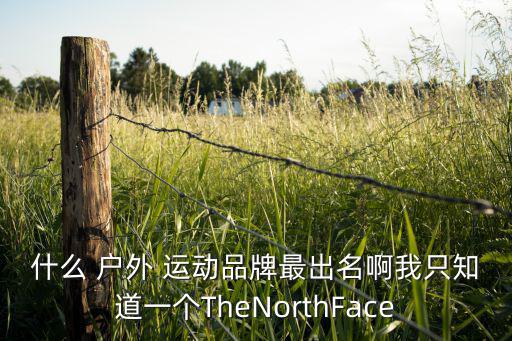 什么 戶外 運(yùn)動品牌最出名啊我只知道一個TheNorthFace