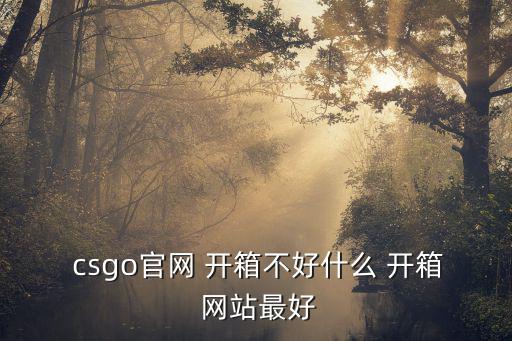  csgo官網(wǎng) 開箱不好什么 開箱 網(wǎng)站最好