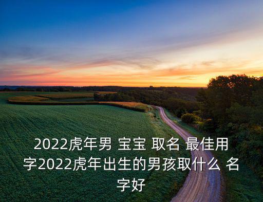 虎寶寶取名字最佳字免費(fèi)取名,5月虎寶寶取名字最佳字