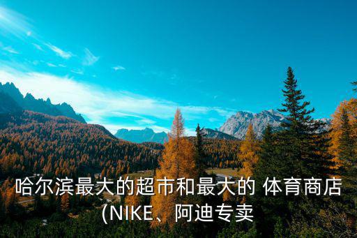 哈爾濱最大的超市和最大的 體育商店(NIKE、阿迪專賣