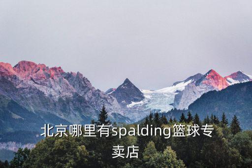  北京哪里有spalding籃球?qū)Ｙu店