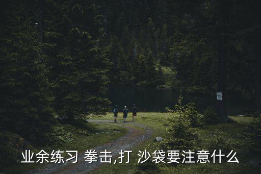 沙袋拳擊沙袋,立式沙袋和吊式沙袋哪種好