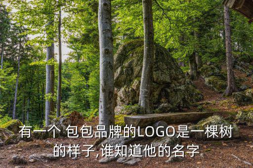 包包logo圖片大全,lv包包logo圖片