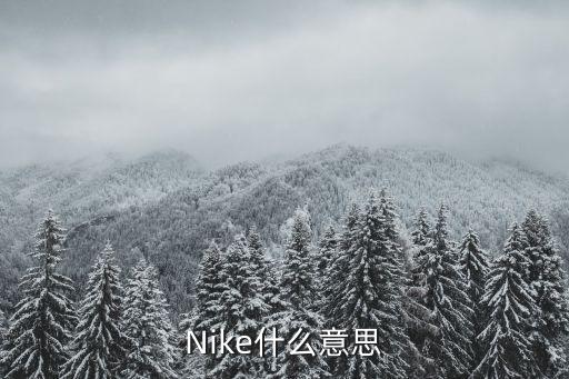 Nike什么意思