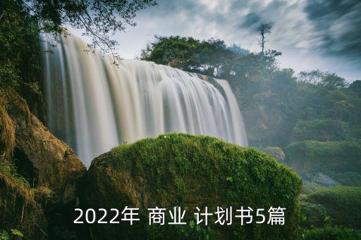 2022年 商業(yè) 計(jì)劃書(shū)5篇