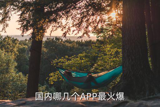 全國購物app排行榜,小視頻ApP排行榜