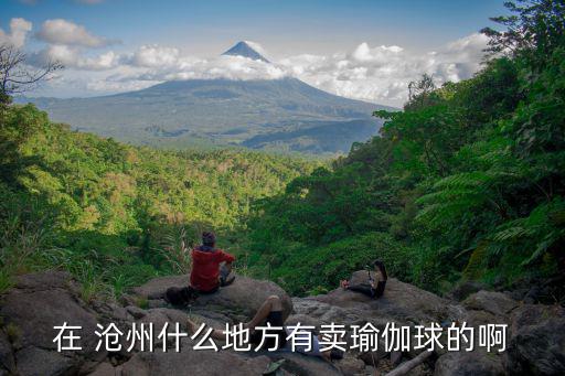 在 滄州什么地方有賣瑜伽球的啊