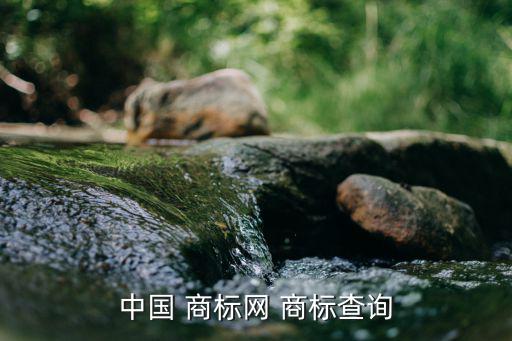 中國商標(biāo)網(wǎng)官網(wǎng)入口,國家知識(shí)產(chǎn)權(quán)局官網(wǎng)