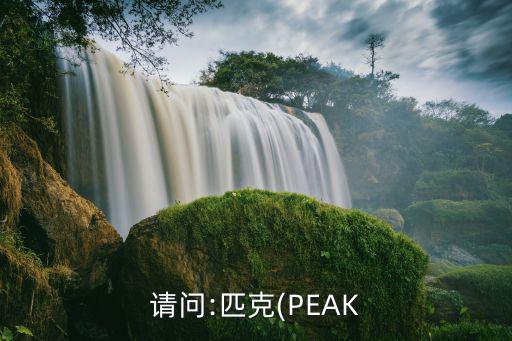 請問:匹克(PEAK