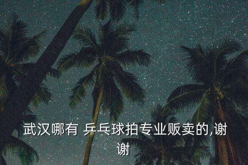  武漢哪有 乒乓球拍專業(yè)販賣的,謝謝