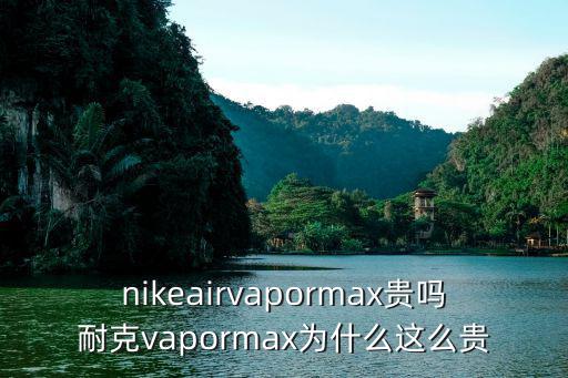 nikeairvapormax貴嗎耐克vapormax為什么這么貴