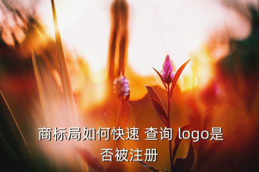  商標(biāo)局如何快速 查詢 logo是否被注冊(cè)