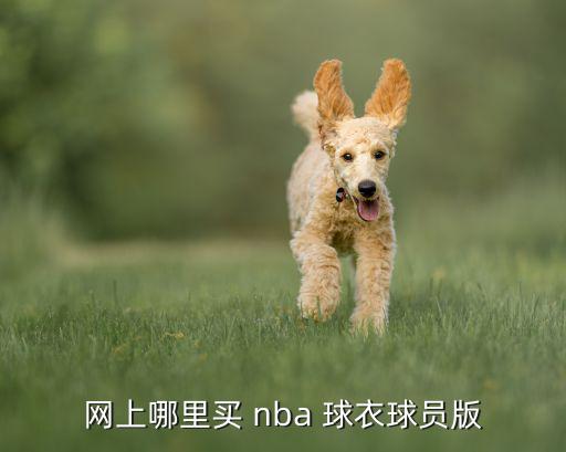 網(wǎng)上哪里買(mǎi) nba 球衣球員版