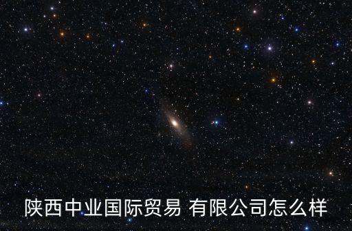 陜西中業(yè)國(guó)際貿(mào)易 有限公司怎么樣