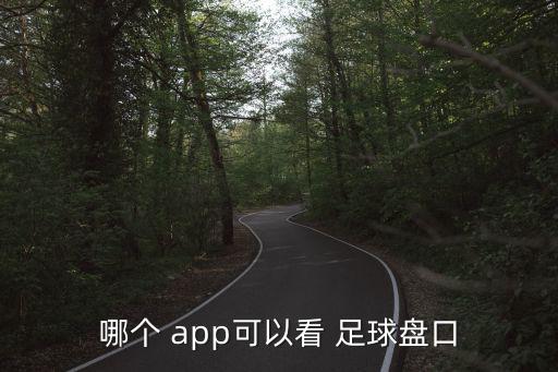 足球彩票app官網下載,中國足球彩票網官網app