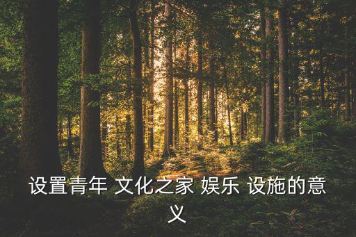 設(shè)置青年 文化之家 娛樂 設(shè)施的意義