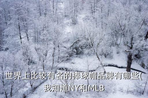 世界上比較有名的棒球帽品牌有哪些(我知道NY和MLB