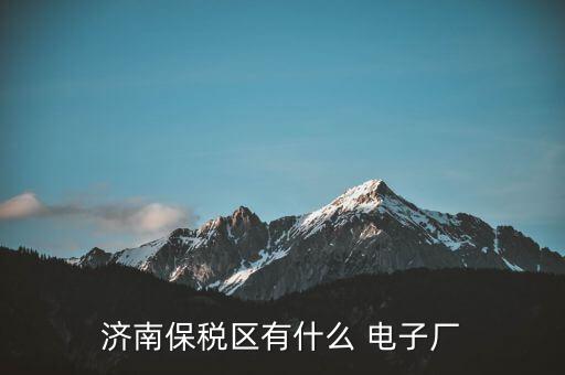 濟南保稅區(qū)有什么 電子廠