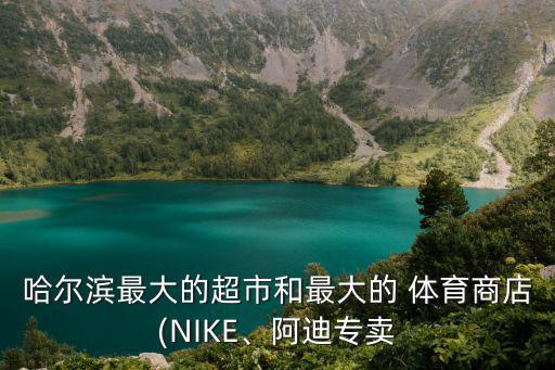 哈爾濱最大的超市和最大的 體育商店(NIKE、阿迪專賣