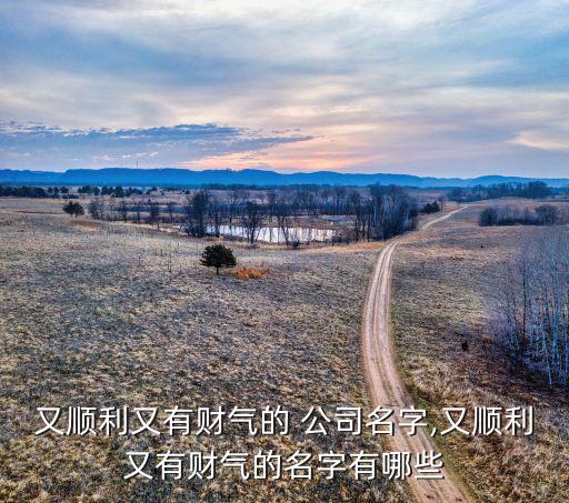 又順利又有財氣的 公司名字,又順利又有財氣的名字有哪些