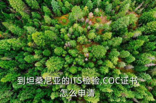 到坦桑尼亞的ITS檢驗(yàn),COC證書怎么申請