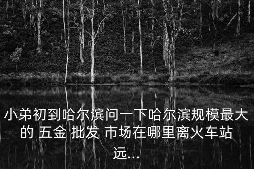 小弟初到哈爾濱問一下哈爾濱規(guī)模最大的 五金 批發(fā) 市場在哪里離火車站遠(yuǎn)...