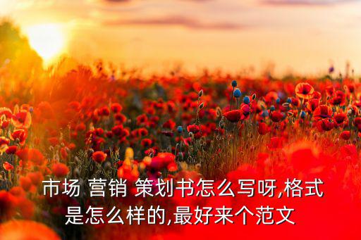 市場營銷項(xiàng)目策劃書,農(nóng)產(chǎn)品營銷項(xiàng)目策劃書