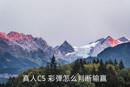 彩彈cs,彩彈CS對(duì)戰(zhàn)游戲松江