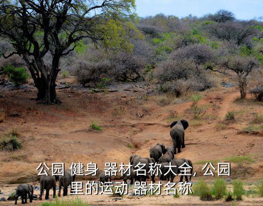  公園 健身 器材名稱(chēng)大全, 公園里的運(yùn)動(dòng) 器材名稱(chēng)