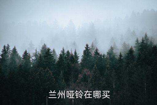  蘭州啞鈴在哪買